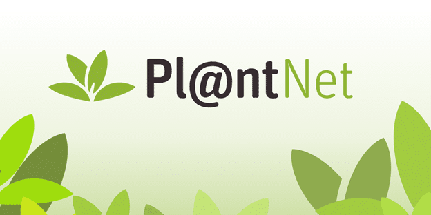 PlantNet app - Play store