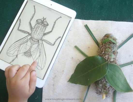 Insect nature art by laughing kids learn. com