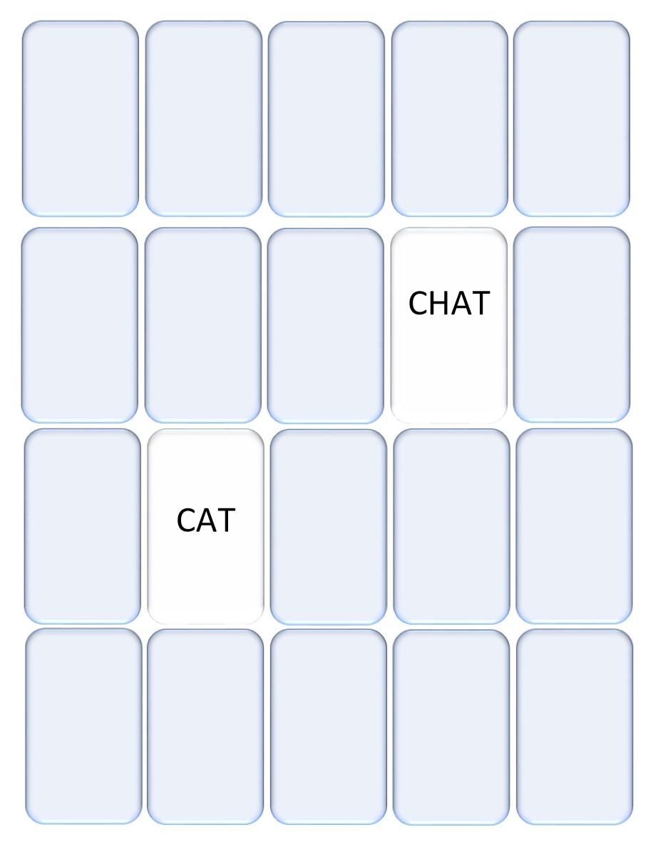 Set of 20 cards
2 cards are flipped over with the written words CAT-CHAT